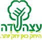 31 עצהשדה