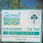 35 משק בראונר ביו-אורגני_