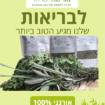 12 מורינגה ישראל (1)