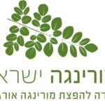 12 מורינגה ישראל