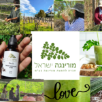 12 מורינגה ישראל